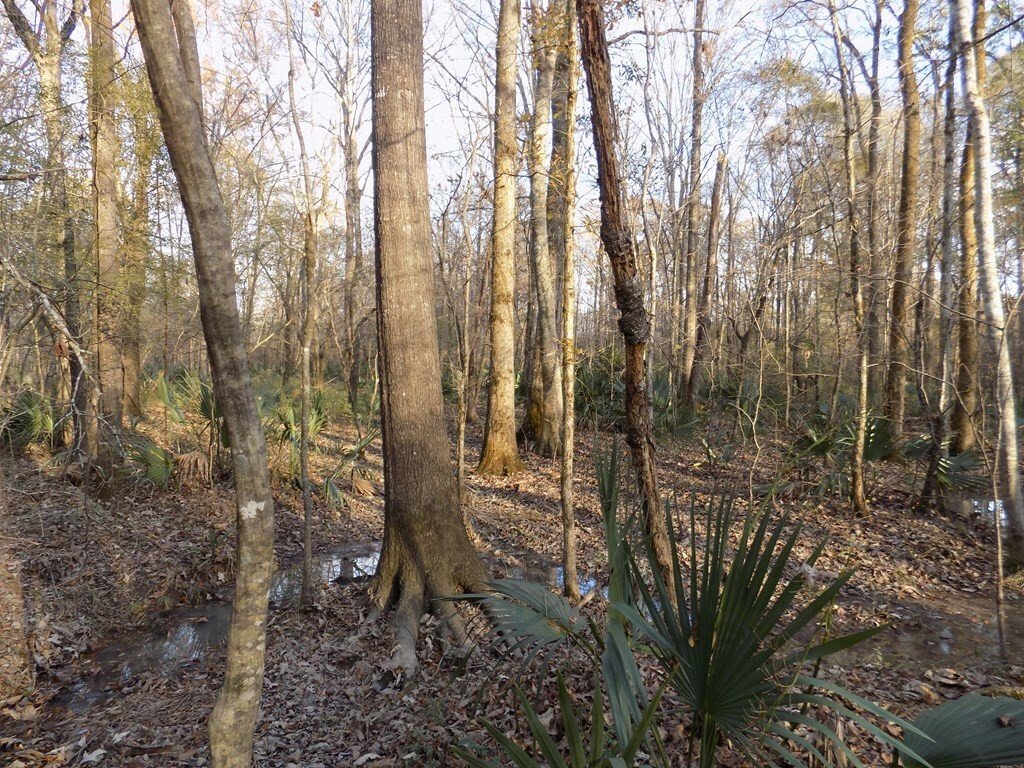 Lots And Land Waverly Hall In Waverly Hall, United States For