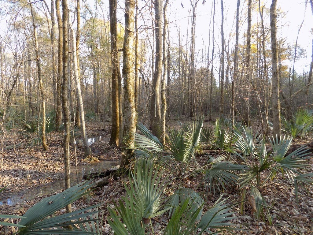 Lots And Land Waverly Hall In Waverly Hall, United States For Sale (12398440)