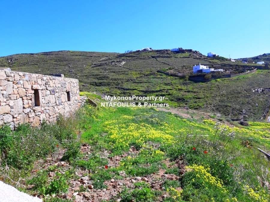 Mykonos, Aegean, Greece 4 - 12397946