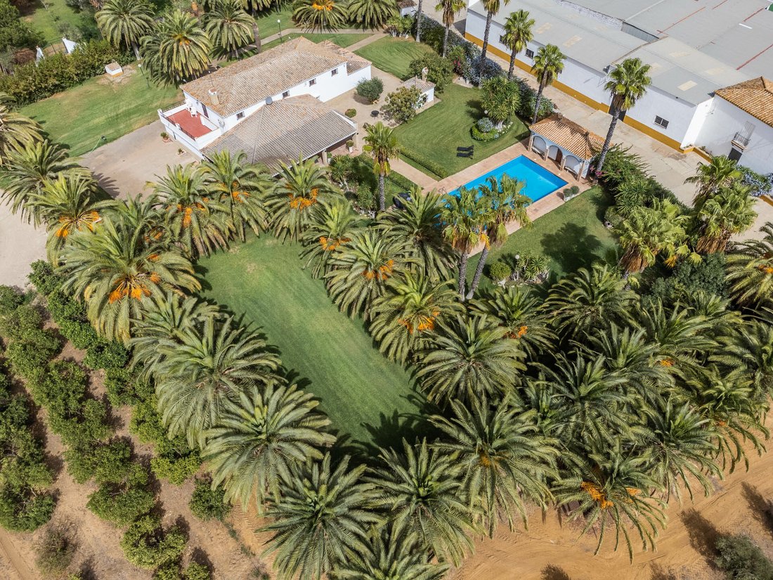 Exclusive Country House In Utrera In Sevilla, Andalusia, Spain For Sale
