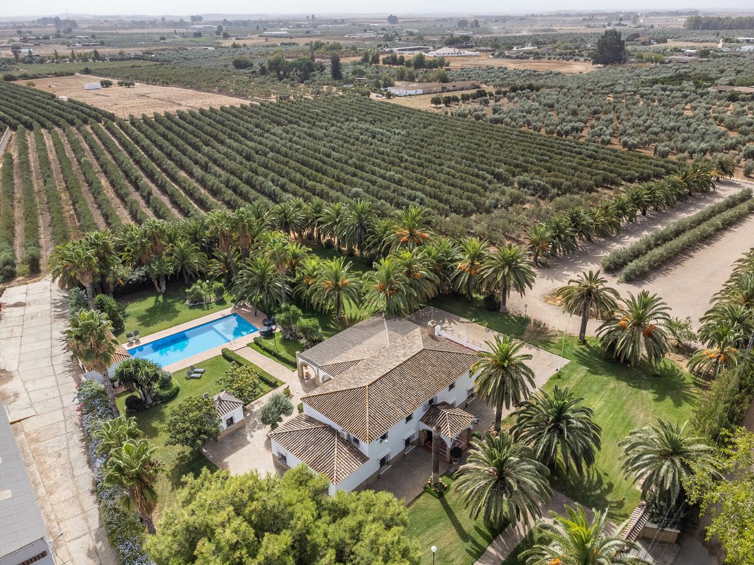 Exclusive Country House In Utrera In Sevilla, Andalusia, Spain For Sale
