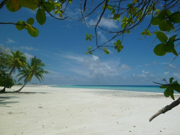 Private Island in Nengonengo, The Tuamotu and Gambier Islands, French Polynesia 1