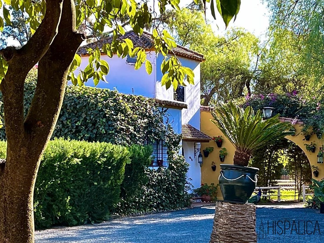 Villa en Alcolea del Río, Andalucía, España 3 - 12404594