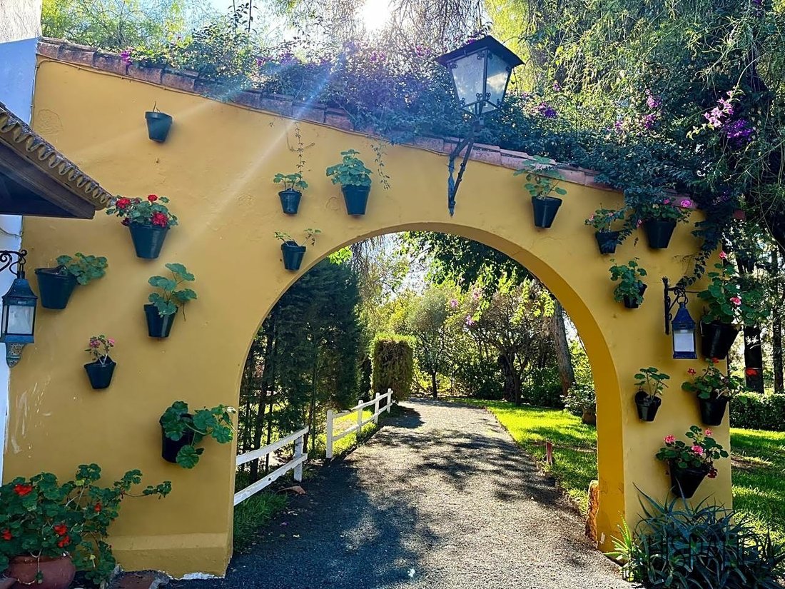 Villa en Alcolea del Río, Andalucía, España 4 - 12404594