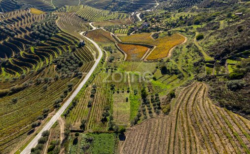 Finca in Seixo de Ansiães, Bragança, Portugal 1