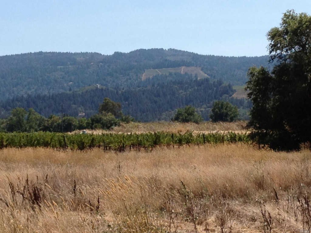 Lots And Land Calistoga In Calistoga, California, United States For