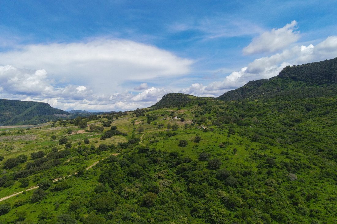 Ranch For Sale In Zapopan, Jal For Agave In Rancho Bonito, Jalisco