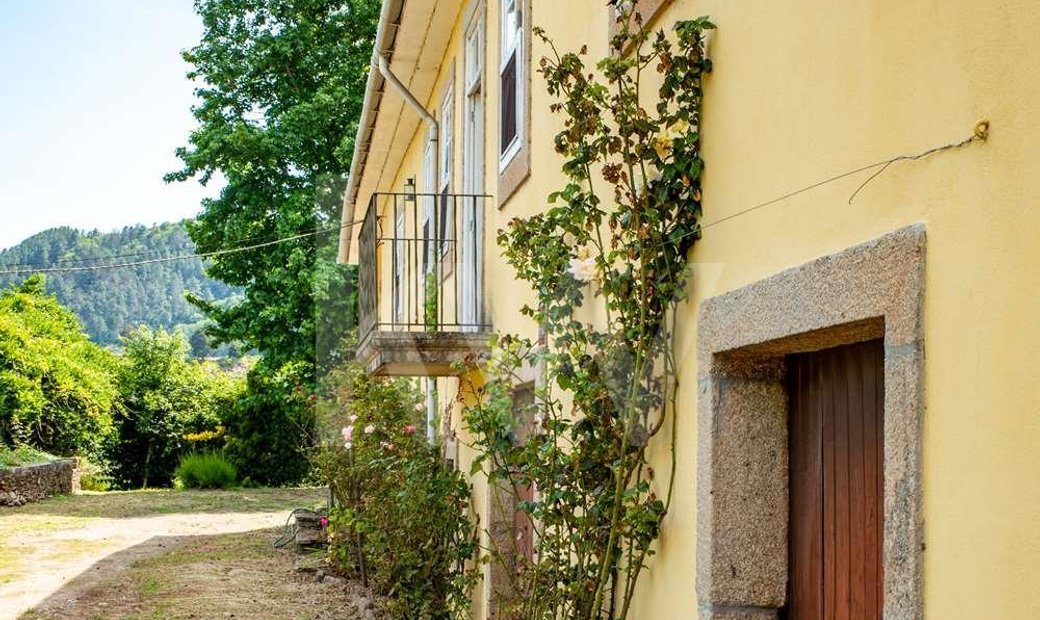 A Vinyard Farm In Douro Valley In Cumeeira, Vila Real District, Portugal For Sale (12411179)