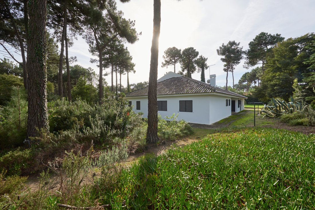 House in Charneca de Caparica e Sobreda, Setubal, Portugal 1 - 12417320