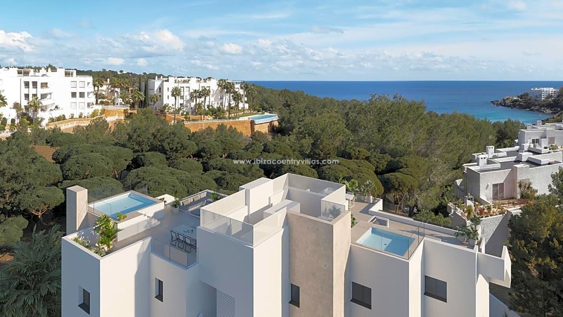 Apartment in Cala Llenya, Santa Eularia des Riu, Balearic Islands 4 - 11924181