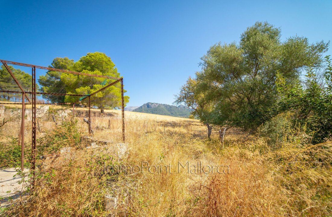 Estate in Selva, Balearic Islands, Spain 5 - 12421941