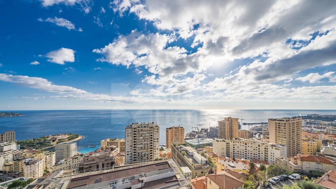 Apartment in Beausoleil, Provence-Alpes-Côte d'Azur, France 3 - 12422306