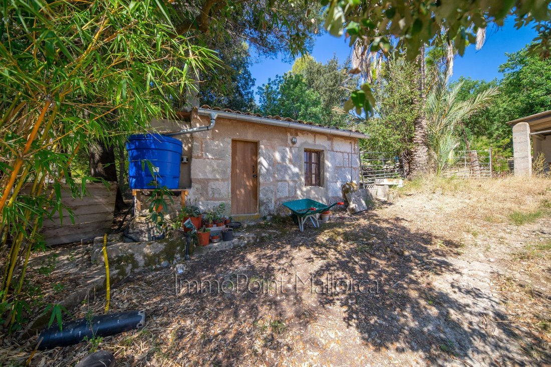 Estate in Selva, Balearic Islands, Spain 1 - 12421941