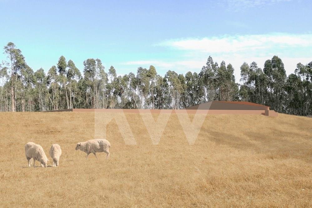 Estate In Odemira In Odemira, Beja District, Portugal For Sale (12425751)