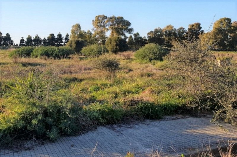 Ravenna Land In Sardinia, Italy For Sale (12425752)