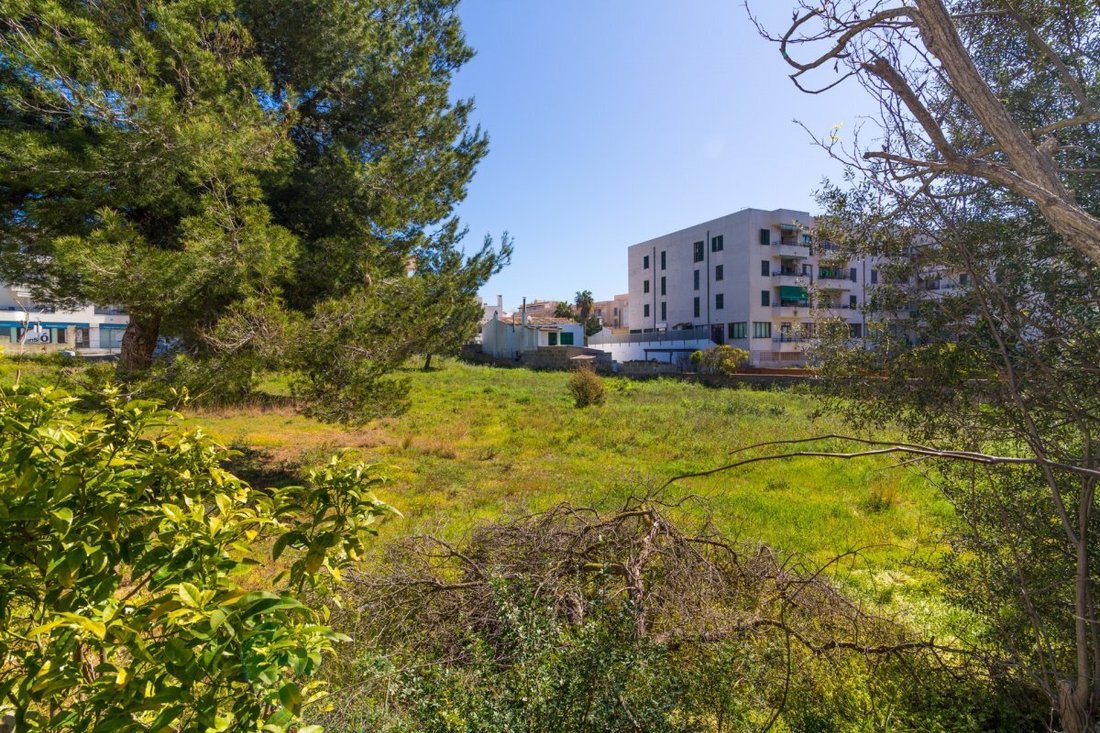 Altro a Capdepera, Isole Baleari, Spagna 1 - 11233206