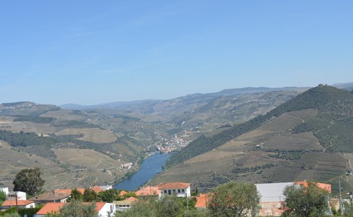 Terrain à Pinhão, Vila Real, Portugal 1