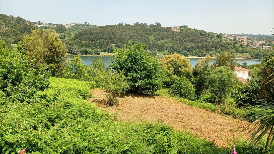 Land in Avintes, Porto District, Portugal 2 - 12424597