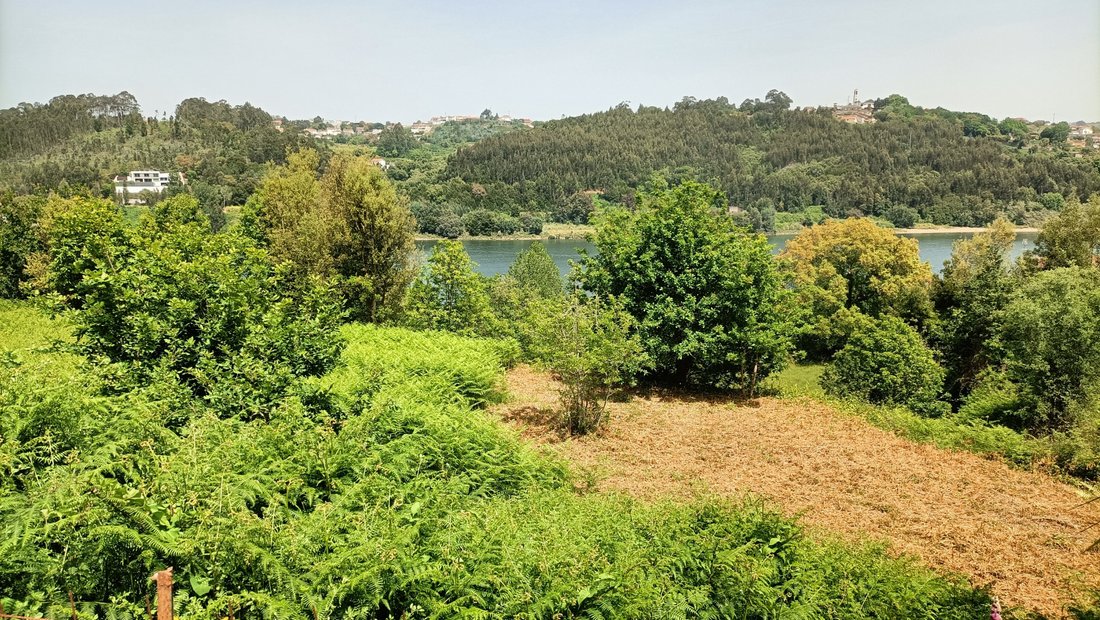 Land in Avintes, Porto District, Portugal 1 - 12424597