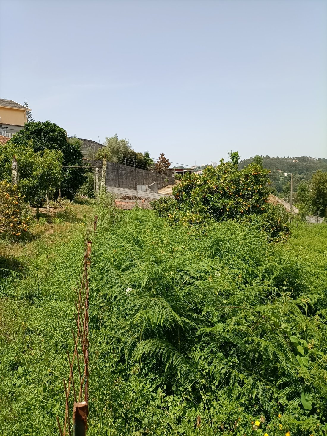 Land in Avintes, Porto District, Portugal 5 - 12424597