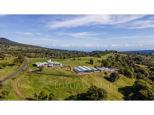 Luxury farm ranches for sale in Costa Rica | JamesEdition