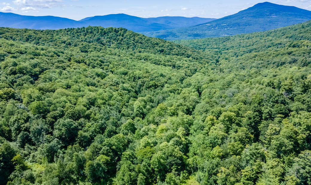 90 Snow Valley Road In Winhall, Vermont, United States For Sale (12429477)