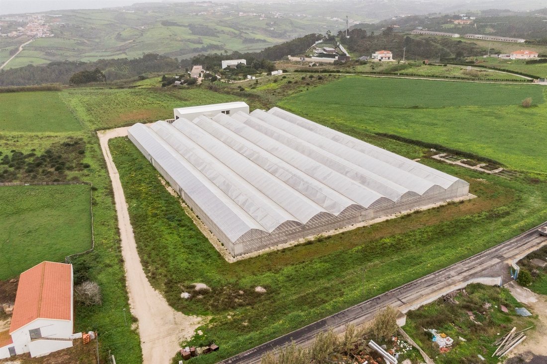 Real Estate Land For Sale In Mafra, Lisbon, Portugal For Sale (12429524)