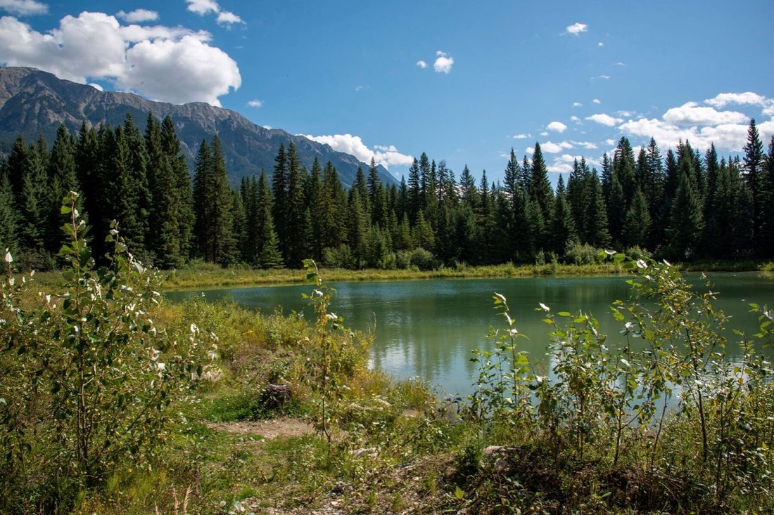 Beaverfoot Lodge In Golden, British Columbia, Canada For Sale (12434961)