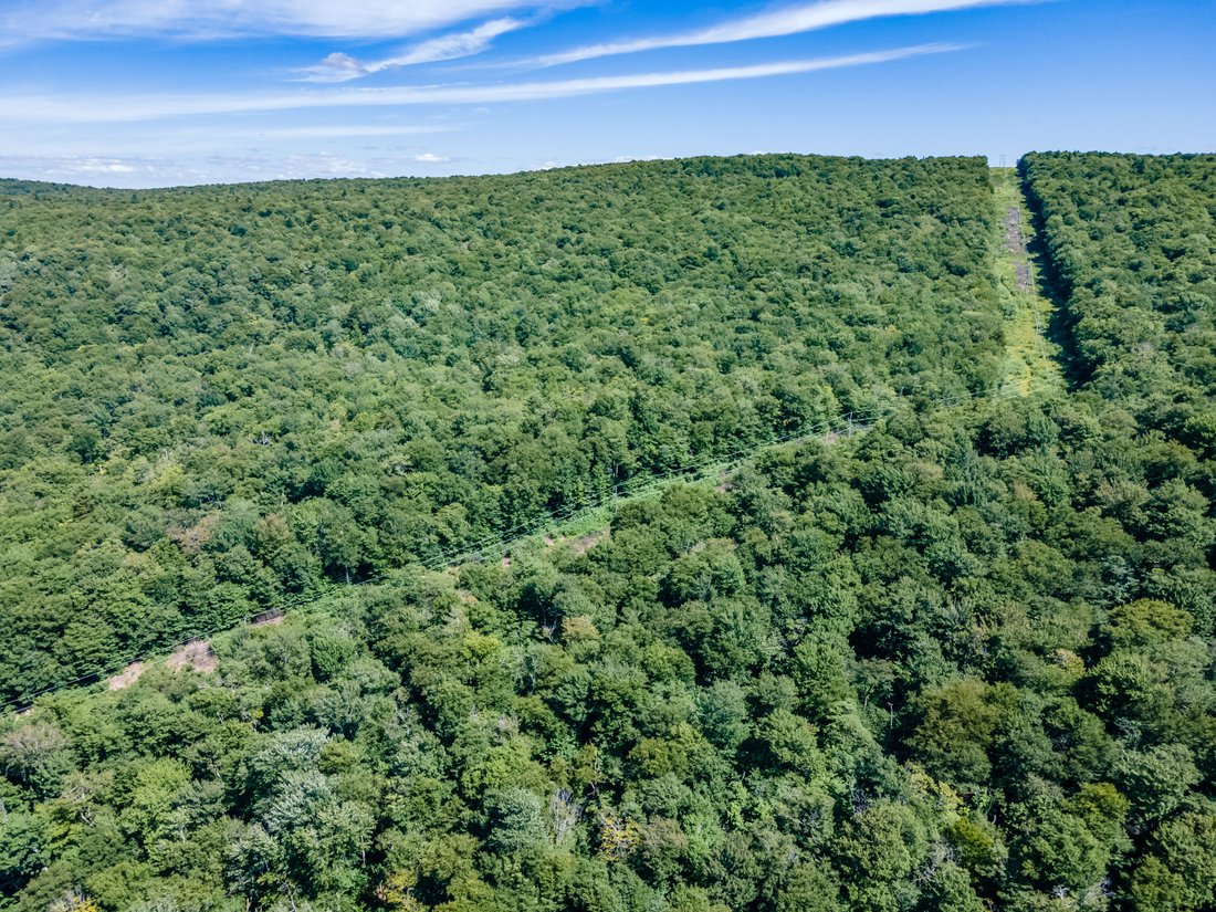 90 Snow Valley Road In Winhall, Vermont, United States For Sale (12429477)