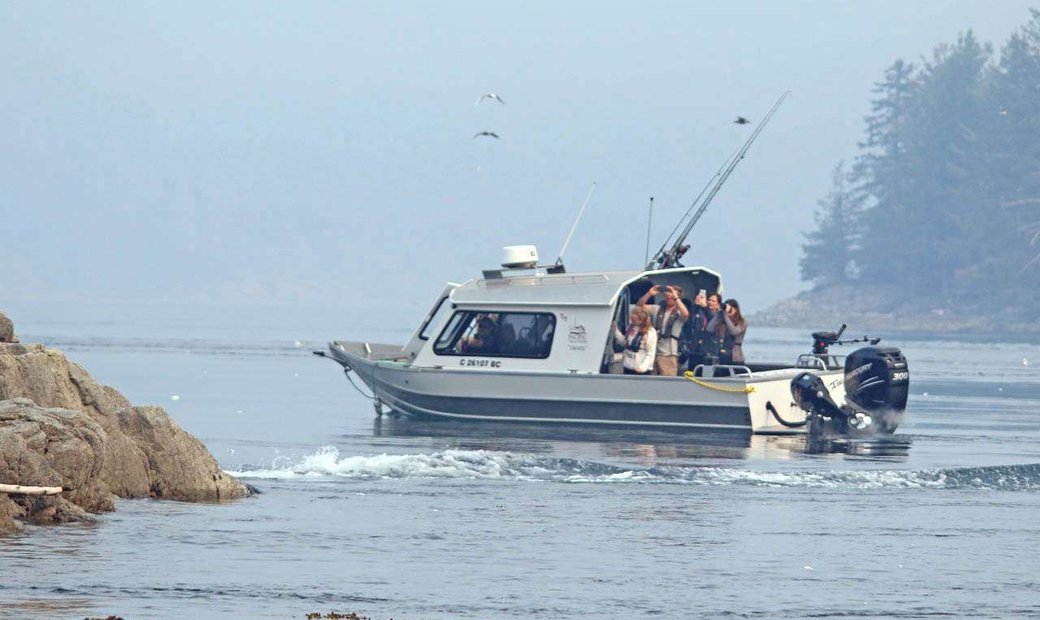 Billings Shipyard Of Maine Pacific Yellowfin For Rent (11533324)