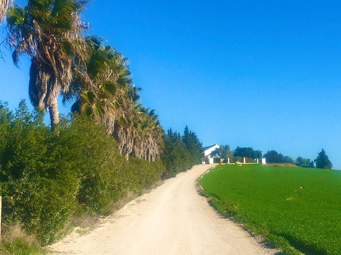 Arcos De La Frontera Country House In Arcos De La Frontera, Andalusia