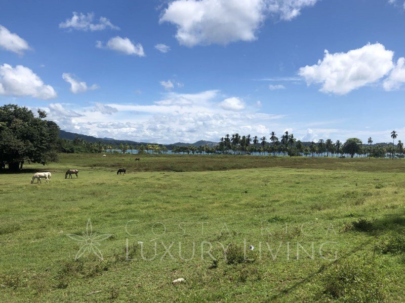 Land in Nicoya, Guanacaste Province, Costa Rica 1 - 12436489