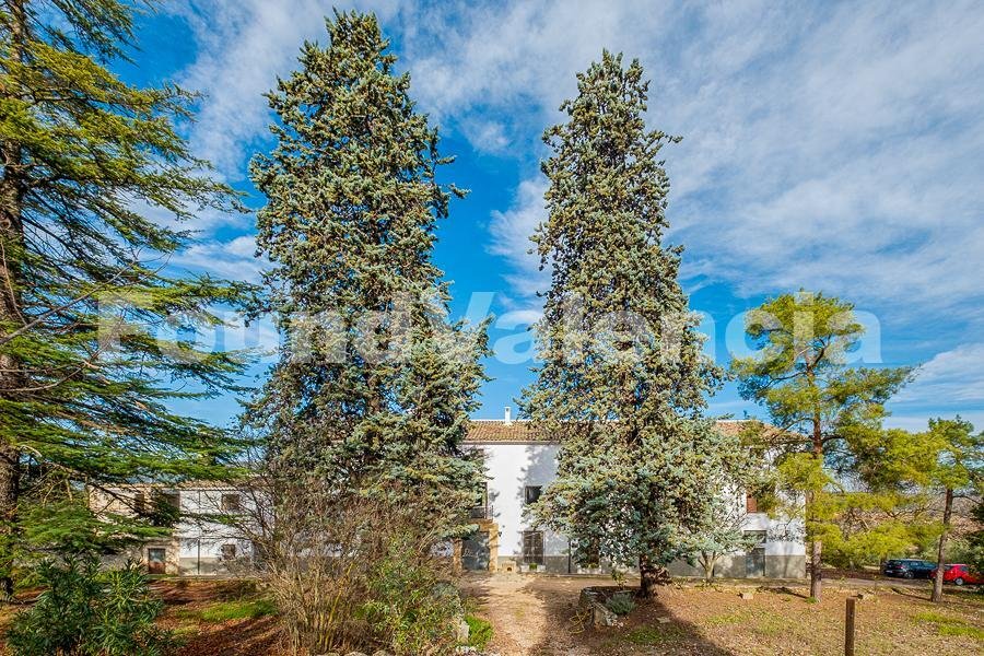 Farm Ranch in Bocairent, Valencian Community, Spain 4 - 12430430