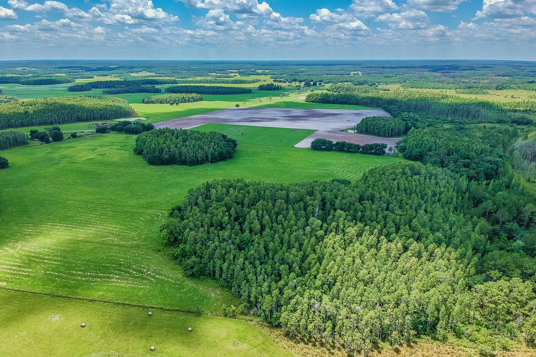 Vacant Land In Lakeland, Florida, United States For Sale (12440722)