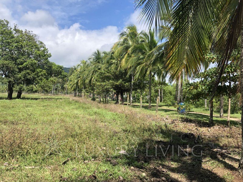 Land in Nicoya, Guanacaste Province, Costa Rica 4 - 12436489
