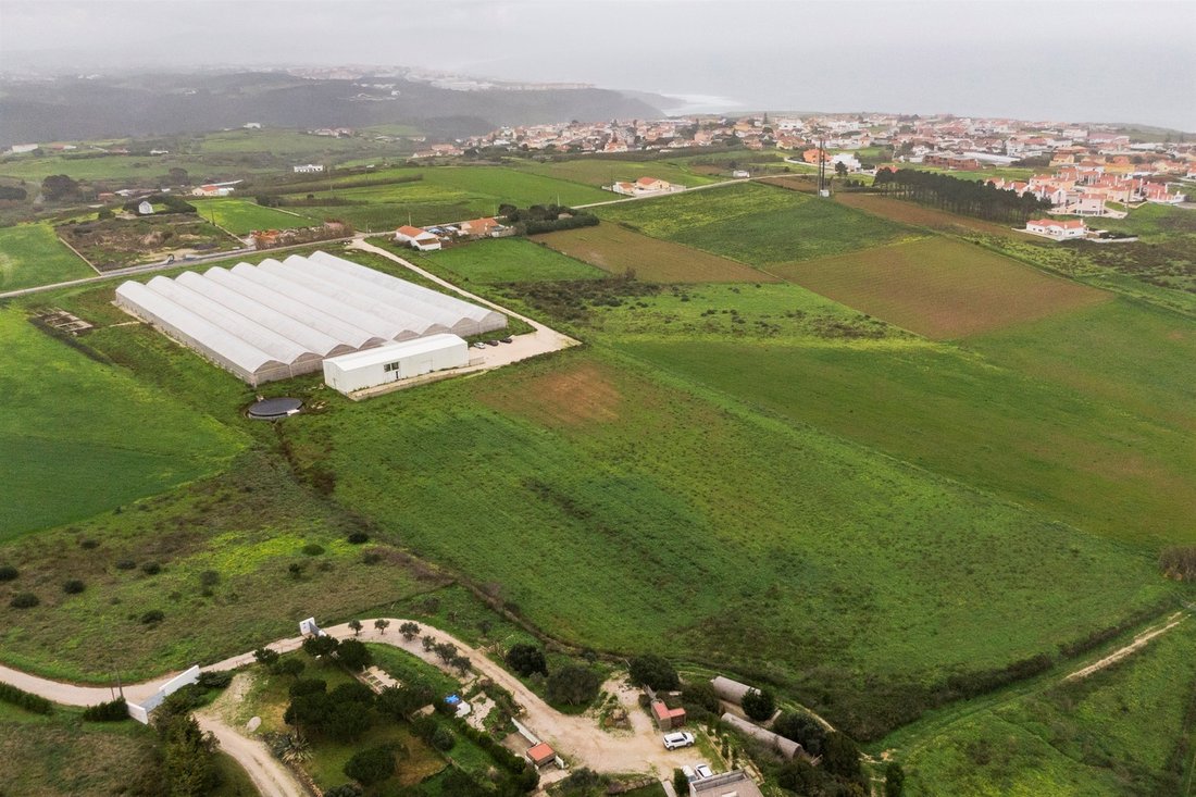 Real Estate Land For Sale In Mafra, Lisbon, Portugal For Sale (12429524)