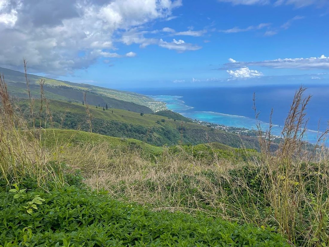 Land in Puna'auia, Windward Islands, French Polynesia 1 - 12448941