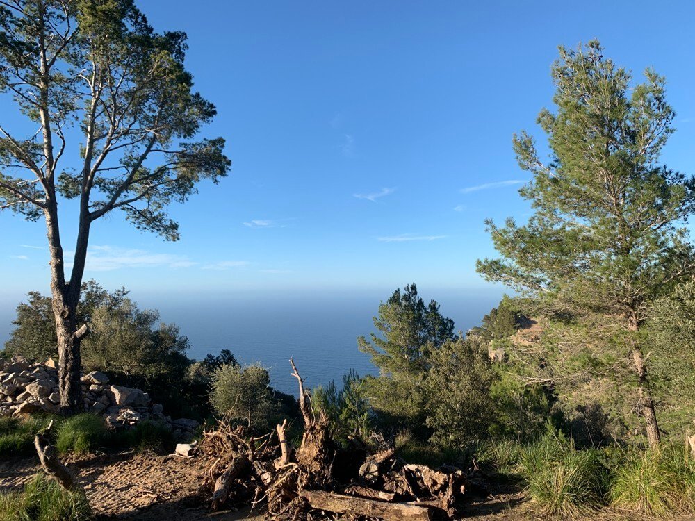 Deià Land In Deià, Balearic Islands, Spain For Sale (12450990)