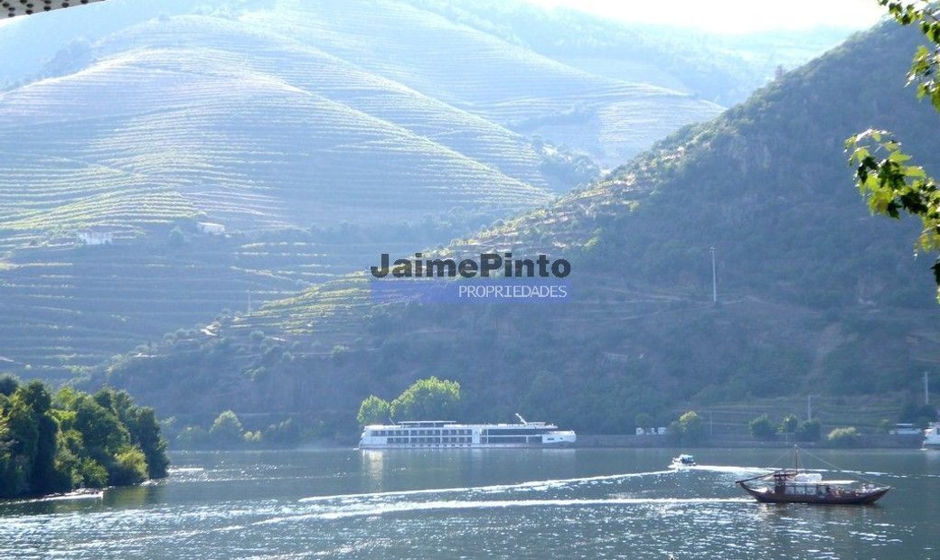 Alijo Land In Pinhão, Vila Real District, Portugal For Sale (12452264)