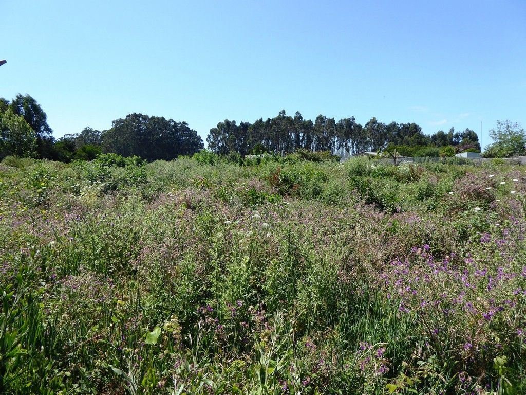 Land in Sao Felix da Marinha, Porto District, Portugal 4 - 12452963
