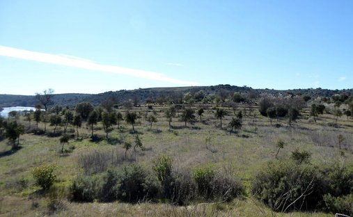Land in Baleizão, Beja, Portugal 1