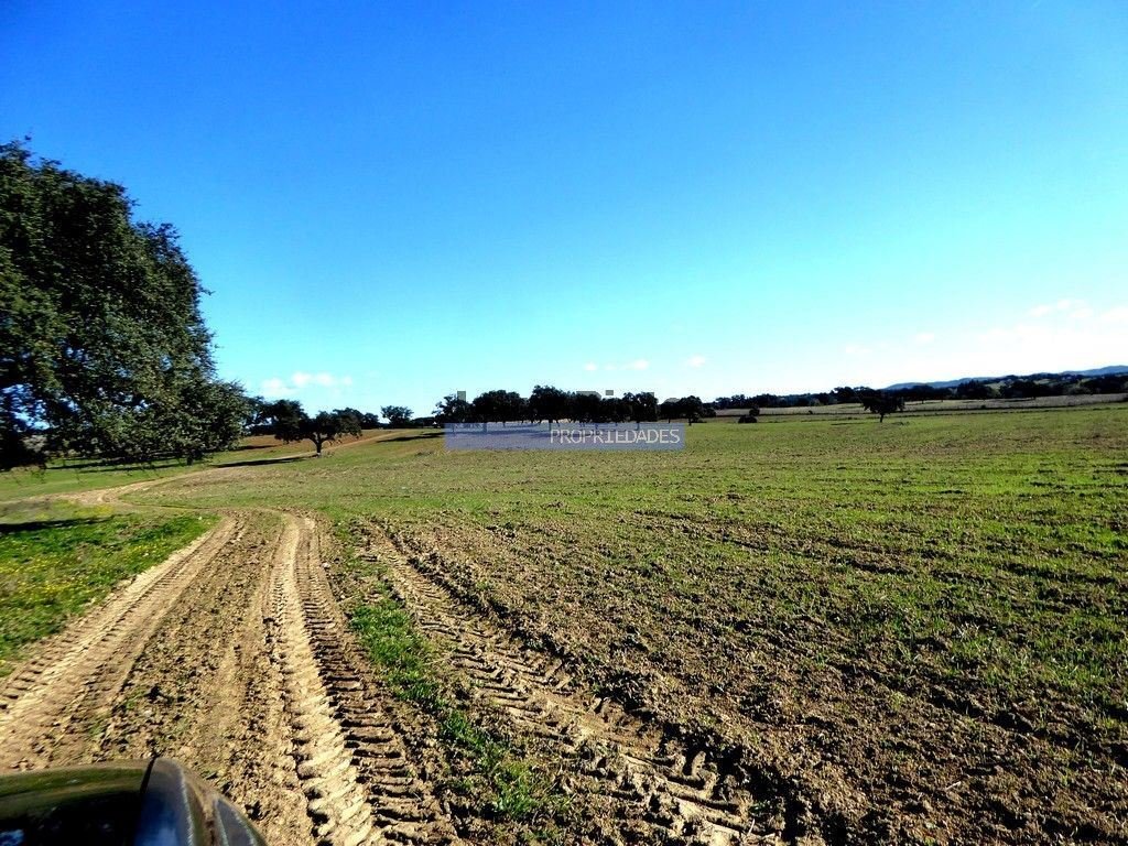 Cuba Land In Cuba, Beja District, Portugal For Sale (12453458)