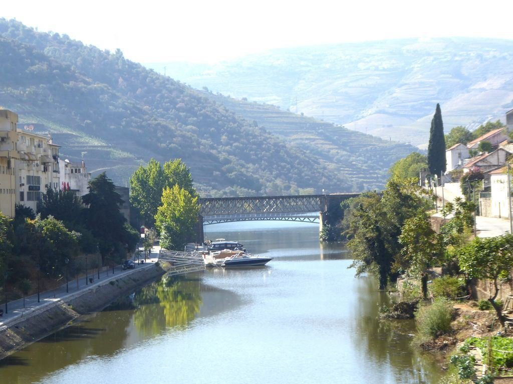 Alijo Farm In Pinhão, Vila Real District, Portugal For Sale (12452360)