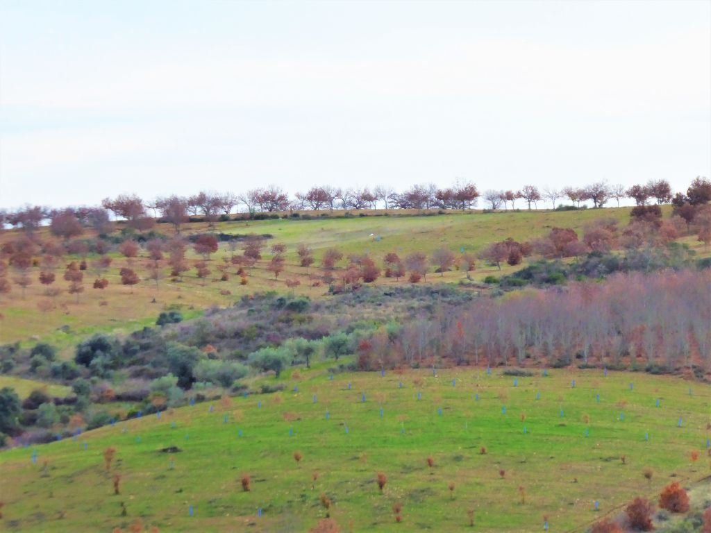 Land in Outeiro, Braganca District, Portugal 5 - 12453159