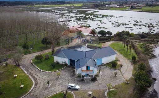 Rancho en Válega, Distrito de Aveiro, Portugal 1
