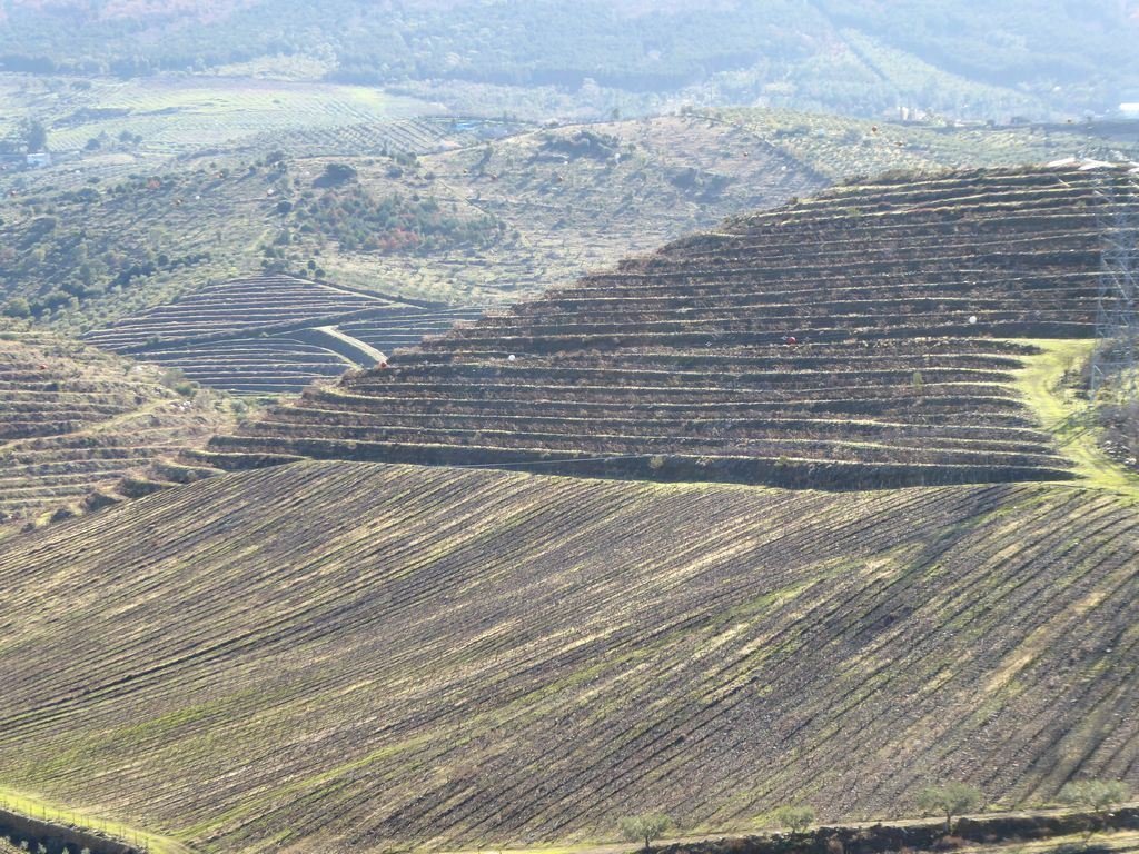 Farm Ranch in Alfandega da Fe, Braganca District, Portugal 5 - 12452556