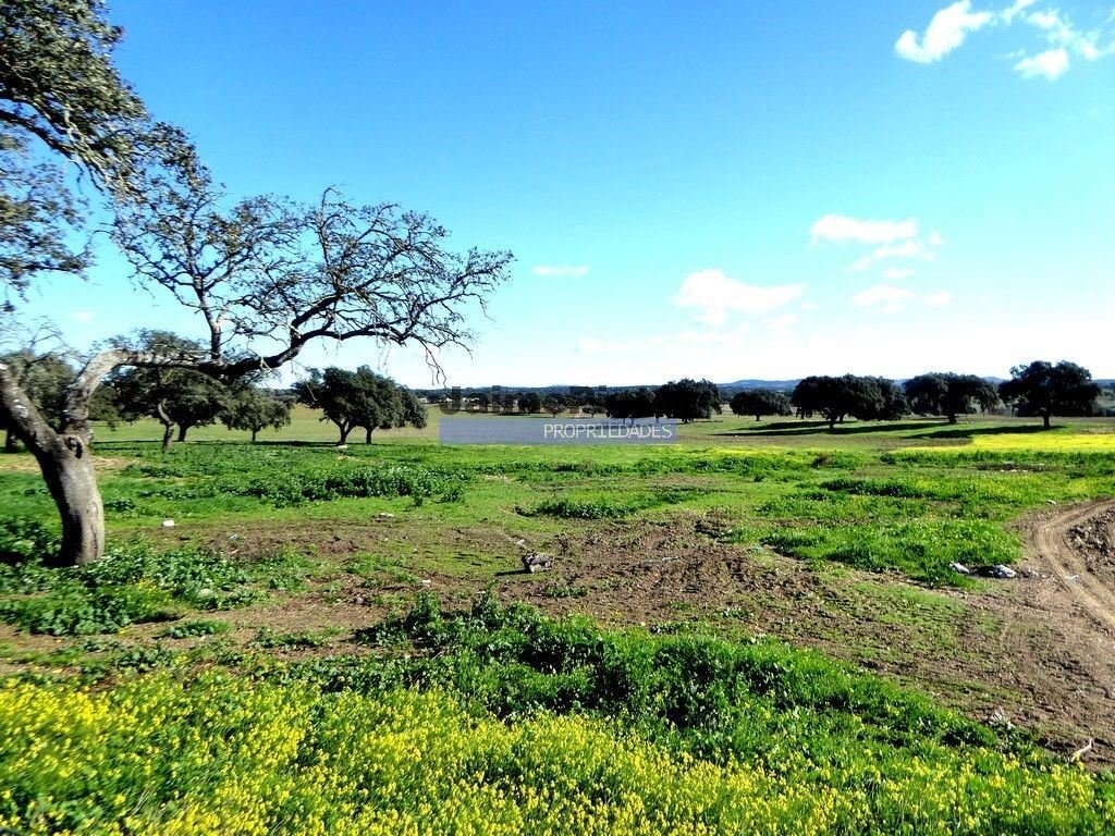 Cuba Land In Cuba, Beja District, Portugal For Sale (12453458)