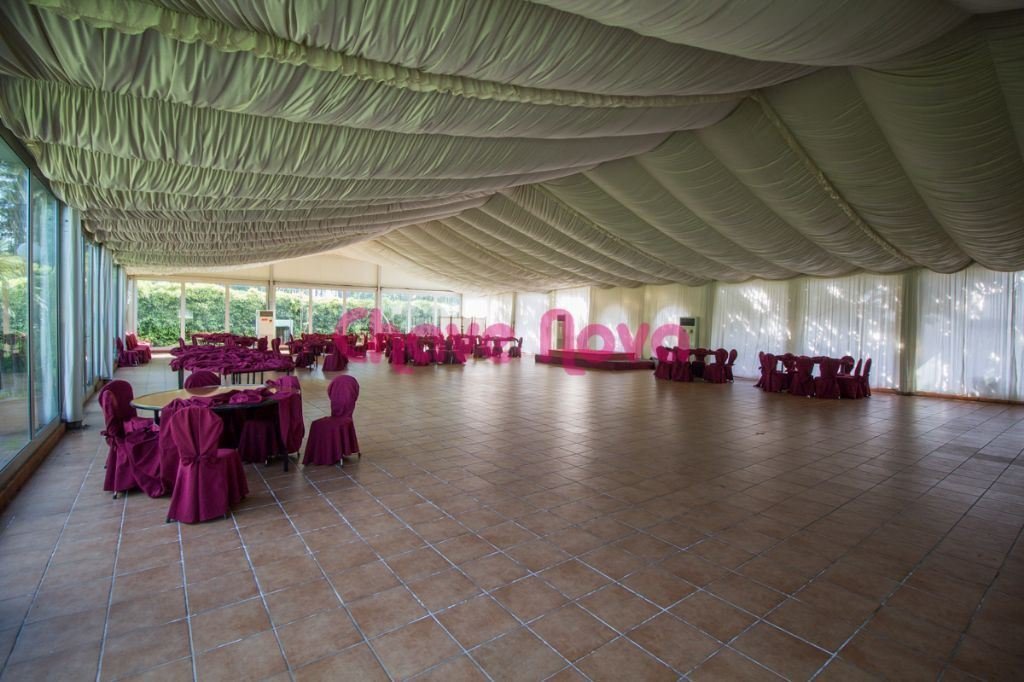 Oliveira De Azemeis Farm In São Roque, Aveiro District, Portugal For