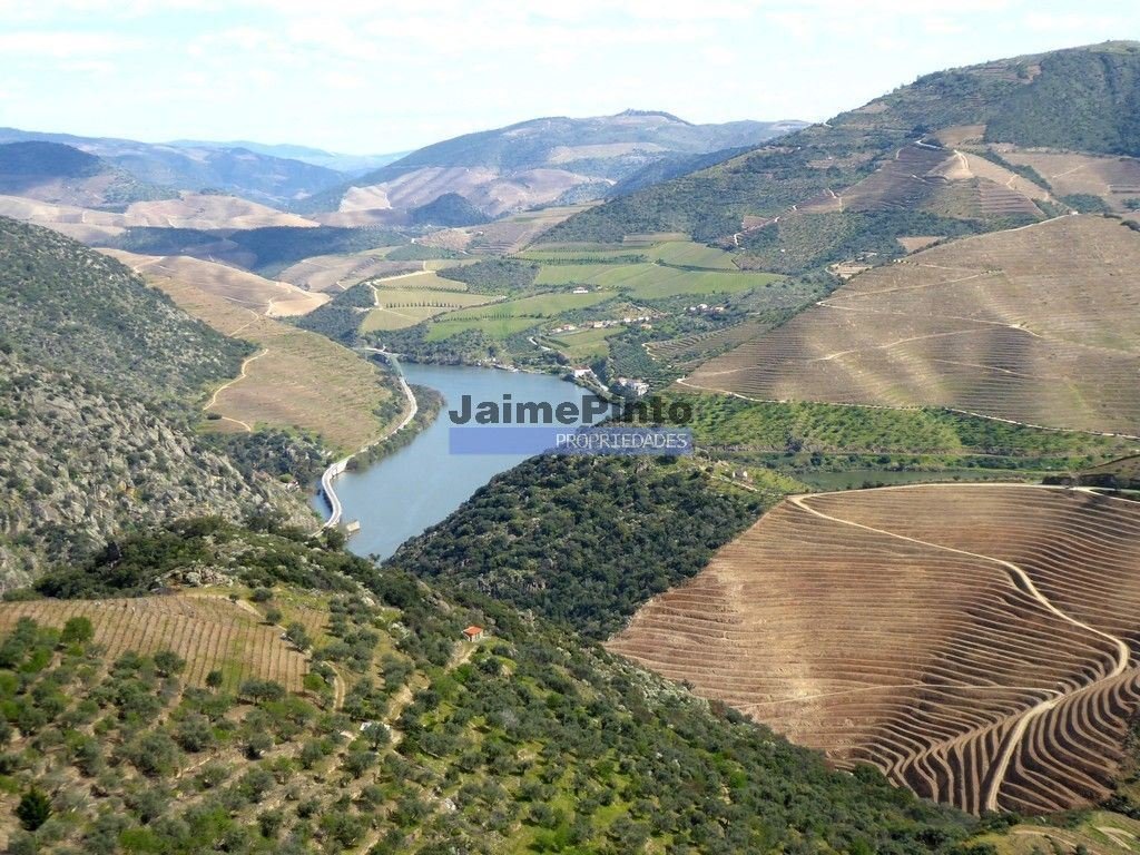 Land in Sao Joao da Pesqueira e Varzea de Trevoes, Viseu District, Portugal 4 - 12453475