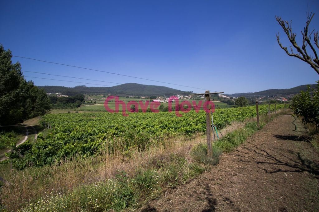 Lousada Farm In Lousada (Santa Margarida), Porto District, Portugal For